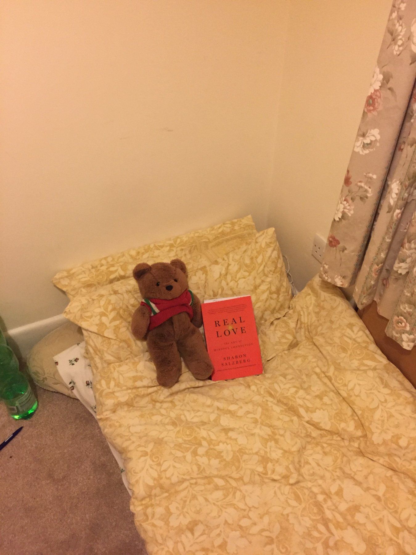 A teddy bear and a copy of Real Love by Sharon Salzberg on the pillow of the floor bed, 2017